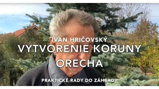 Ivan Hričovský: KEDY A AKO VYTVORIŤ KORUNU ORECHA?