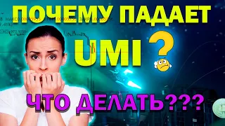 Почему падает UMI? Почему она не растет? Когда будет рост и есть ли вообще такая вероятность?