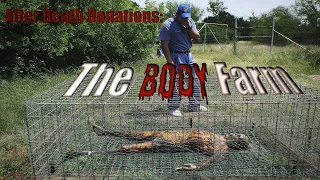 Short Documentary: The Body Farm