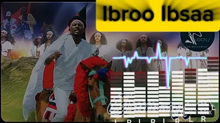 IBROO IBSAA _GUMAAYYEE |NEW OROMOO MUSIC 2024(OFFICIAL MUSIC)