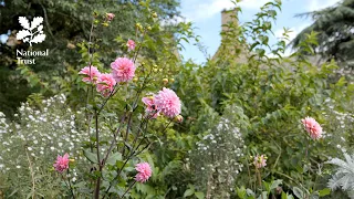 Explore an Arts and Crafts garden with the National Trust at Hidcote
