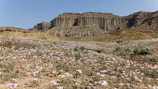 Northern Utah ATV Trail Riders: Green River Day 2, May 20, 2023