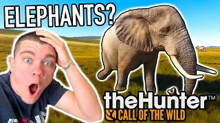 HUNTING ELEPHANTS??? Hunter Call of the Wild Ep.37 - Kendall Gray