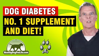 Dog Diabetes Treatment Home Remedies [BEST Supplement and DIET]