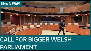 Does the Welsh Parliament need more Senedd members? | ITV News