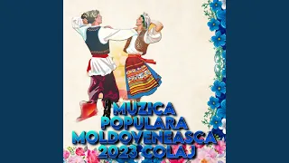 petrecere moldoveneasca 2023,colaj muzica moldoveneasca 2023