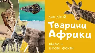 20 ТВАРИН АФРИКИ розвиваючі відео для дітей. Назви тварин та цікаві факти. Українською мовою.