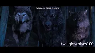 Twilight wolves-whispered in the dark(Skillet)