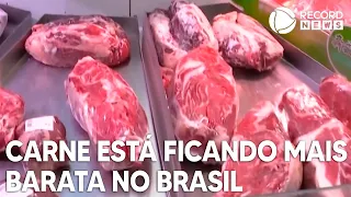 Carne bovina está ficando mais barata no Brasil