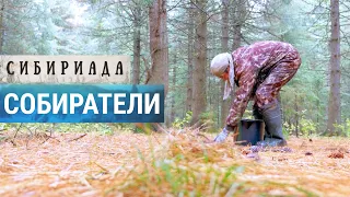 Собиратели дикороса в тайге | СИБИРИАДА