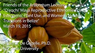 "Q'eqchi' Maya Reproductive Ethnomedicine and Women's Healing Traditions in Belize"