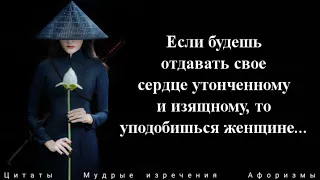 Жесткие Цитаты Японских Самураев: Афоризмы, Изречения.