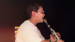 Любовь уставших лебедей (cover clarinet)