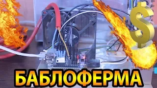 БАБЛОФЕРМА на orange pi - Часть 3