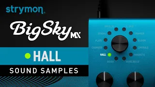 Strymon BigSky MX | Sound Samples | Hall Reverbs