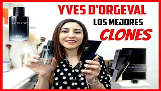 PERFUMES ECONÓMICOS para HOMBRES~Good Boy/Wildest-Yves d'Orgeval -Reseñas/Review Español/Morolove