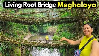 Double Decker Living Root Bridge Cherrapunji EP 3 | Meghalaya Tourism Video | Meghalaya Tour