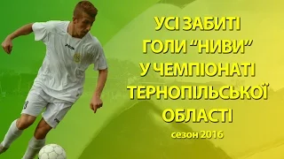 Усі забиті голи футбольного клубу "Нива" у чемпіонаті області 2016 року