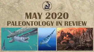 New Fossils and Paleontology- May 2020