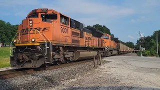 BNSF Coal Train in Arenzville, IL on 6/4/24