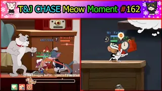 Tom And Jerry Chase | Meow Funny Moment EP#162