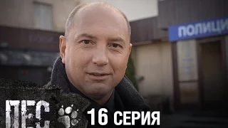 Сериал Пес - 16 серия