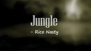 Jungle - Rico Nasty x Fred Again 🎧Lyrics