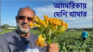 আমেরিকায় বাংলাদেশি কৃষক ও দেশী শাক, সবজি। Bangladeshi Farmer in Goshen, New York, USA Vlog #1