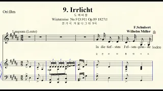 MR  3-20 Irrlicht 도깨비불 F. Schubert 슈베르트 G# minor 올림사단조  Winterreise No.9 겨울 나그네  (For Low Voice)