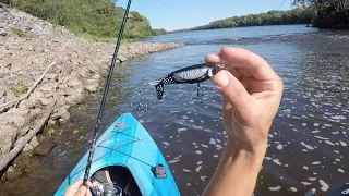 GIANT Smallmouth Bass on TOPWATER Loon Whopper Plopper - NEW PB! (Master Angler Fish)