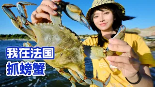 Catching crabs in France, the ferocious blue crab invaded the sea.