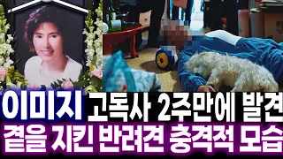 전원일기 노마엄마 배우 이미지 별세 2주만에 발견되어.. 그녀의 곁을 지킨 정체 안타까운 모습