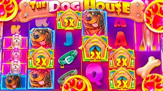 INSANE DOG HOUSE MEGAWAYS BONUS PAYS MASSIVE!! (PERFECT SETUP)