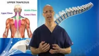 3 Part Exercise to REMOVE Tight Trapezius Muscle in Neck (Neck Pain & Pinched Nerve) - Dr Mandell