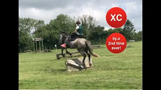 5 y.o Irish Draught Horse's SECOND EVER time doing XC jumps | Equestrian