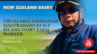 TIPS SA MGA NAGNANAIS MAG DAIRY FARM WORKER SA NEW ZEALAND 🇳🇿