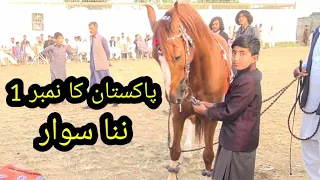 Horse Dance Pakistan ka Number one Dancer Horse