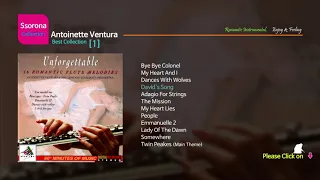 B-378 Antoinette Ventura [Best Collection 01]