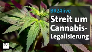 BR24live: Bayern, Bier – und Gras? Streit um die Cannabis-Legalisierung | BR24