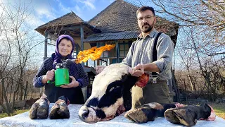 TRADITIONAL AZERBAIJANI DISH KHASH | WE MADE BULL HEAD SOUP WITH MY GRANDMA