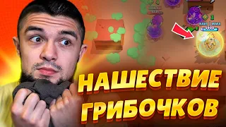 🤯САМАЯ ДУШНАЯ МЕТА - ОДНИ ГРИБЫ В СОЛО ШД! ГРИБОЧКИ Я ИДУ ЗА ВАМИ!