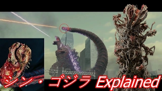 Shin Gojira's Tail Explained (シン・ゴジラ )