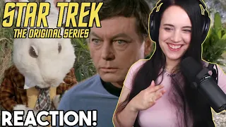 Shore Leave // Star Trek: The Original Series Reaction // Season 1