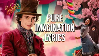 Pure Imagination Lyrics (From "Wonka") Timothée Chalamet