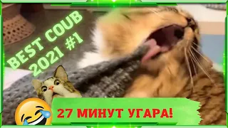 27 МИНУТ УГАРА НОВЫХ ВИДЕО 2021! Я РЖАЛ ДО СЛЕЗ😂 Смешные видео котики и многое другое