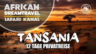 Tansania Privat Safari 🤯 Serengeti NP | Ngorongoro | Tarangire NP | Mkomazi NP | Tipps und Infos