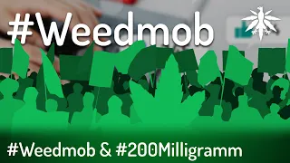 #Weedmob & #200Milligramm | DHV News # 326