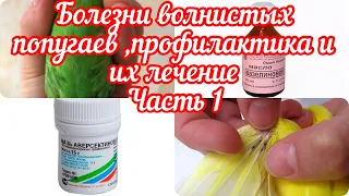 БОЛЕЗНИ У ВОЛНИСТЫХ ПОПУГАЕВ🦜🦜 ЧАСТЬ1 / СИМПТОМЫ КЛЕЩА / ПРОФИЛАКТИКА И ЛЕЧЕНИЕ.