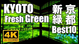 4K 京都の青もみじ 新緑  Best10 Fresh green leaves Kyoto 京都観光 旅行Japan 東福寺 瑠璃光院 祇王寺 永観堂 三千院 嵐山 Nature Sounds 庭園