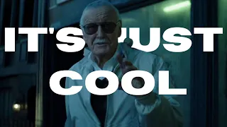 I Loved This Stan Lee Cameo